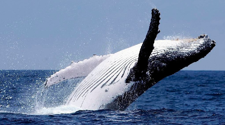 На каких уровнях «киты» готовы поддержать биткоин?
