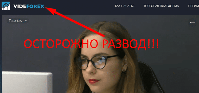 VideForex обзор и отзывы о МОШЕННИКЕ!!!