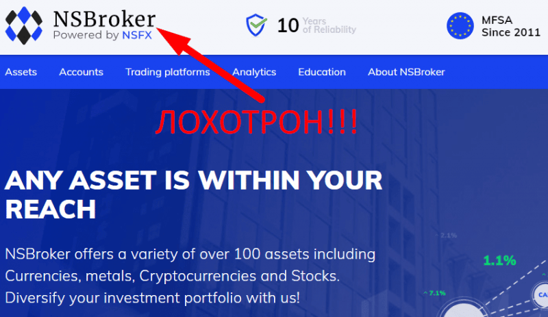 NSBroker отзывы и обзор проекта