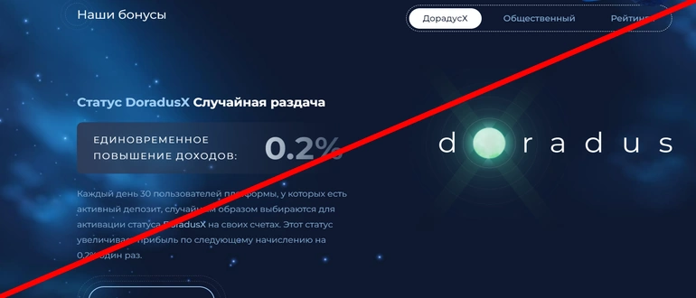 Doradus отзывы о компании — doradus.io